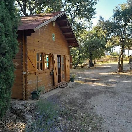 La Cabane En Bois Tourves Exterior photo