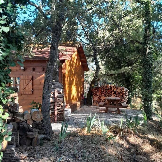 La Cabane En Bois Tourves Exterior photo